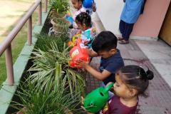 Nursery Activity-Watering the Plants-2025